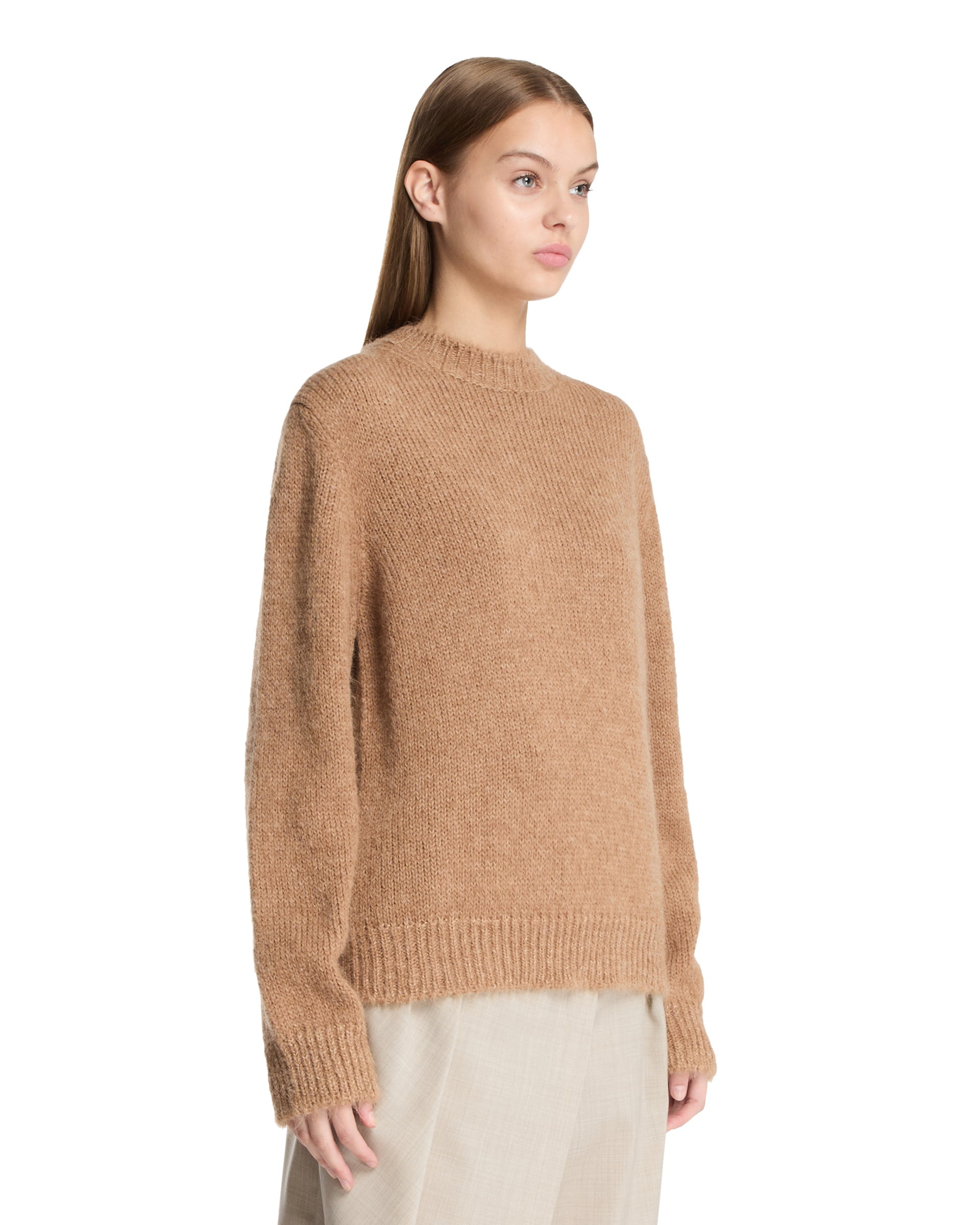 Beige Alpaca and Wool Crewneck Sweater - 4