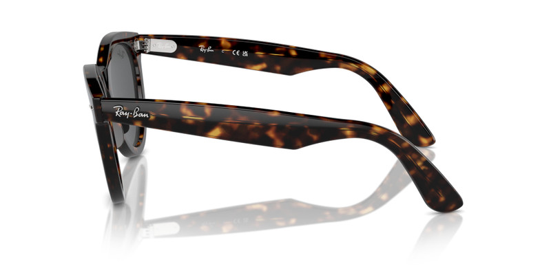 WAYFARER WAY 5