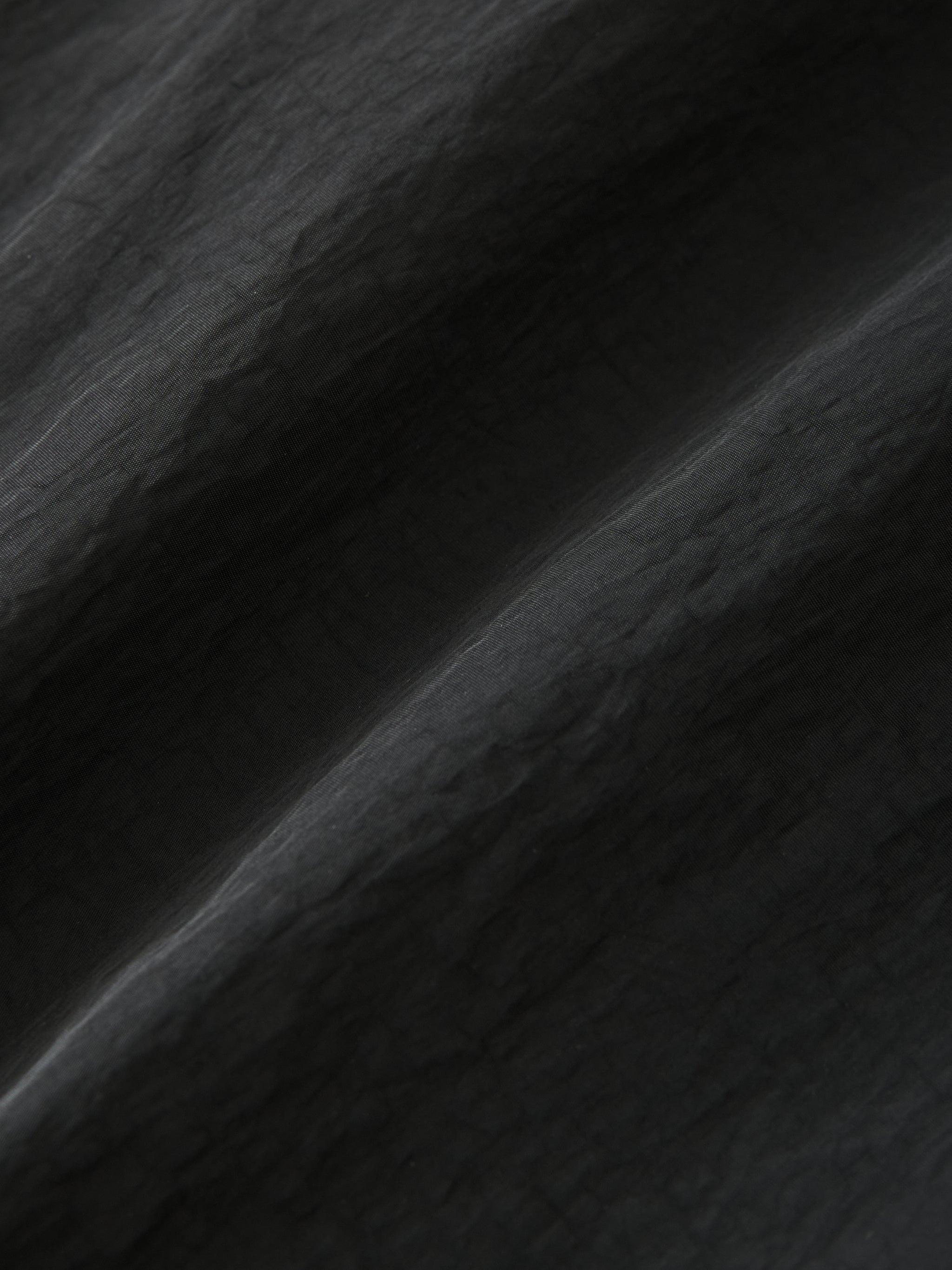 Ashi Pant - 7