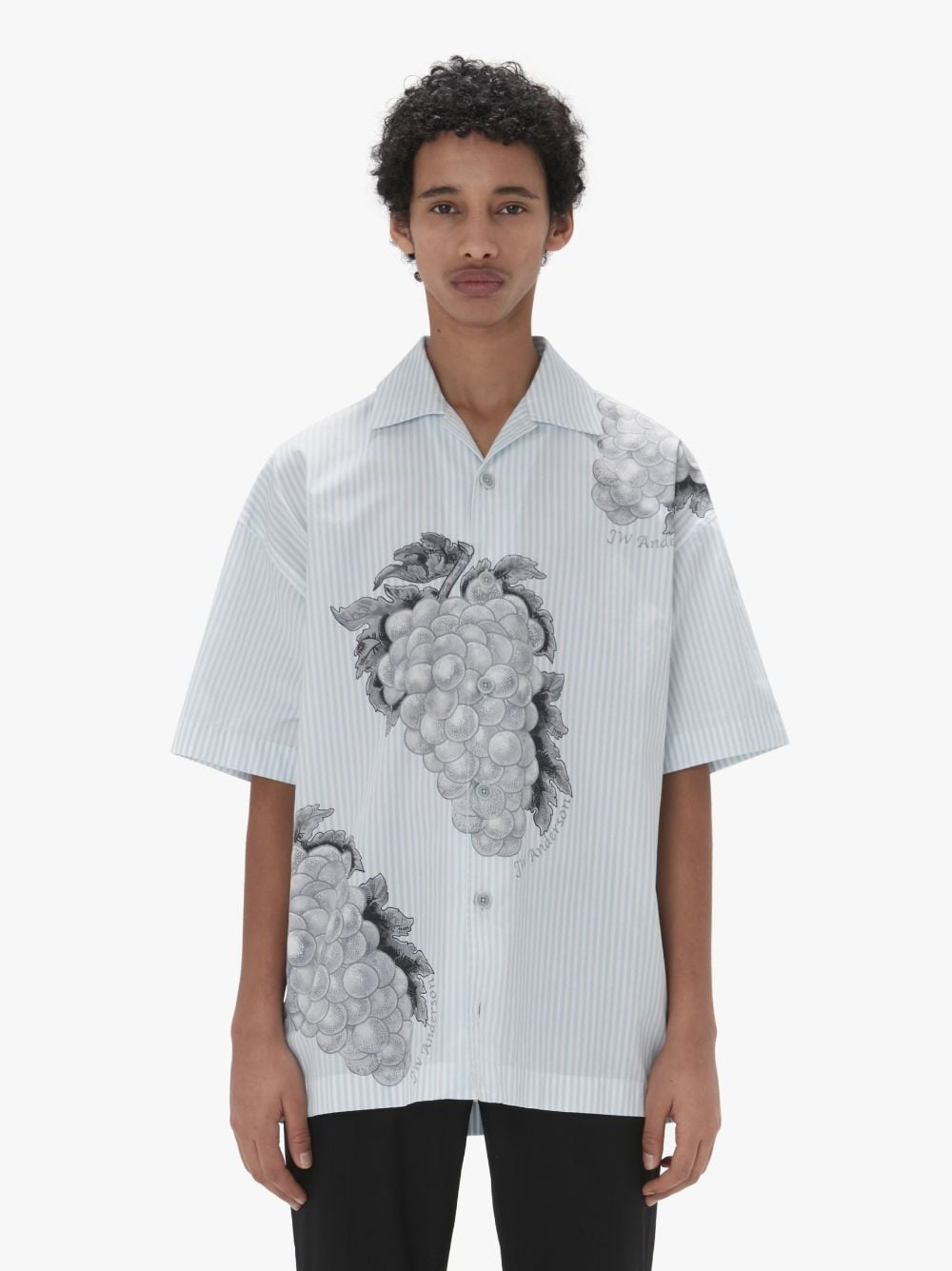 SHORT SLEEVE SHIRT WITH GRAPE MOTIF - 2
