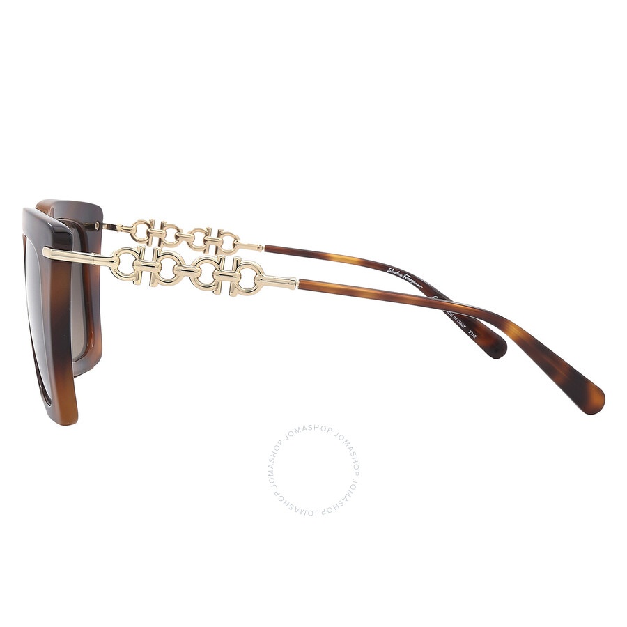 Salvatore Ferragamo Brown Gradient Butterfly Ladies Sunglasses SF1041S 238 51 - 3