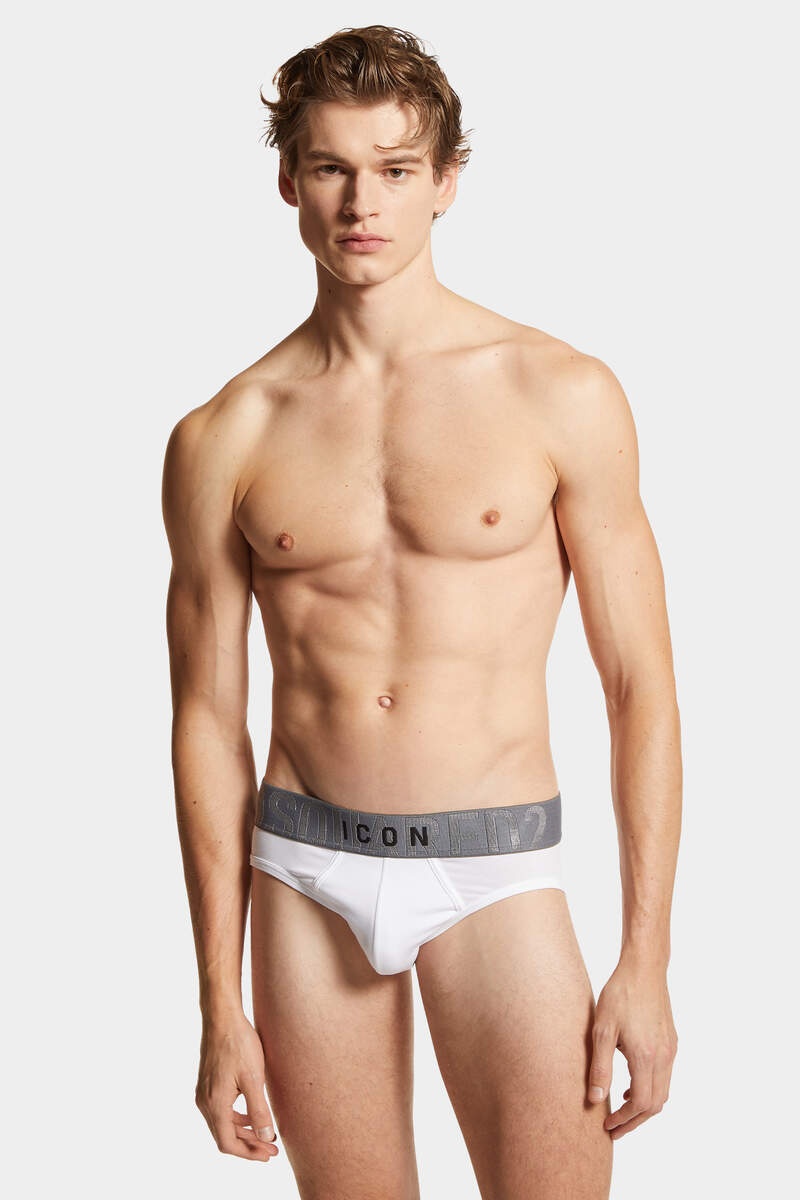 ICON BRIEF - 3