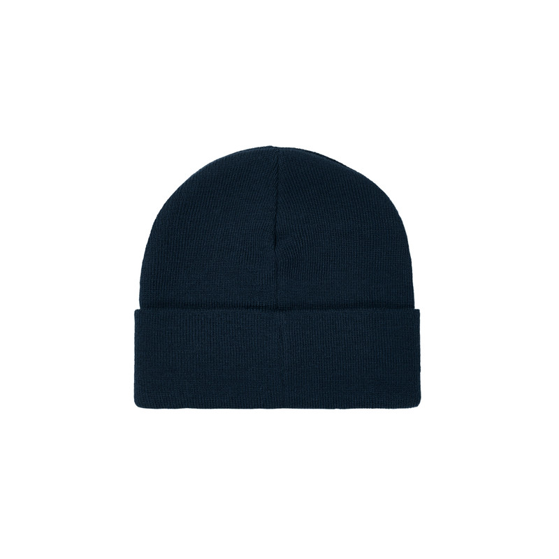 PALACE TRI-FERG BEANIE NAVY outlook