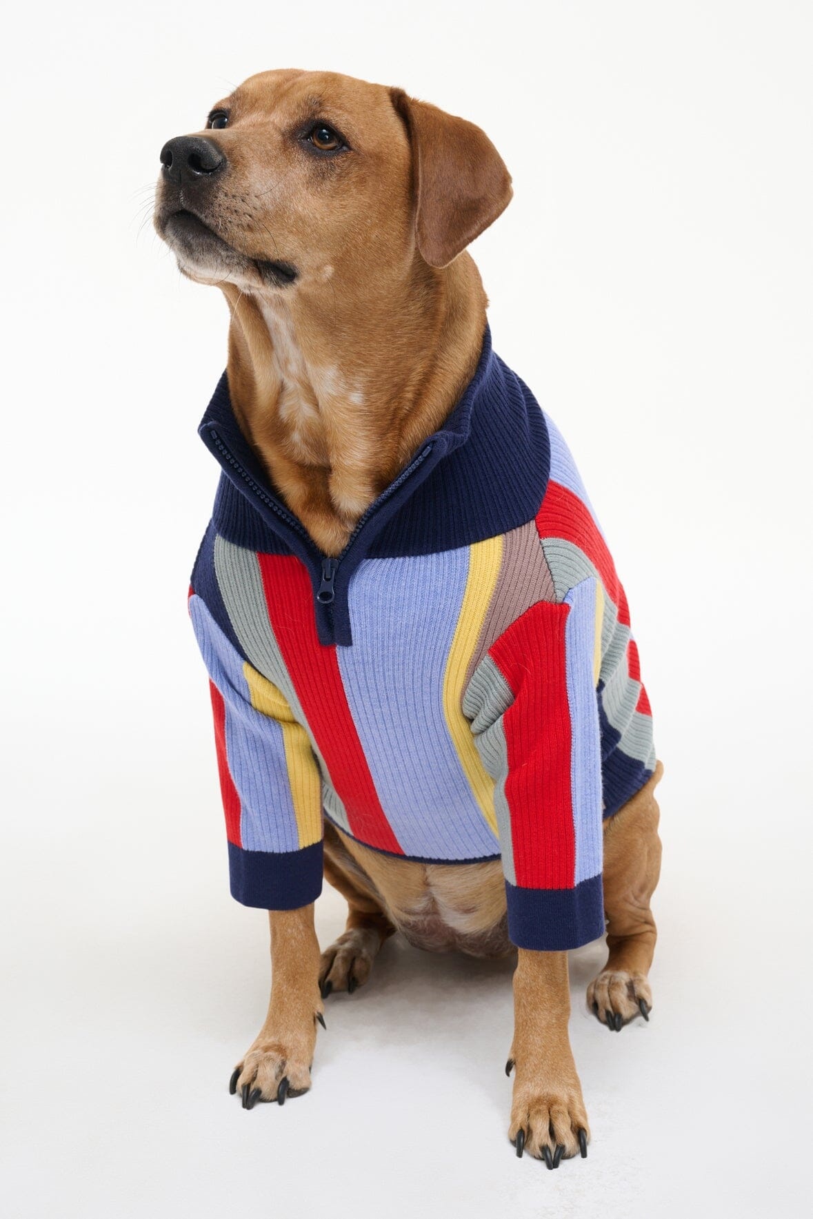 STAUD PET HAMPTON SWEATER MARKET STRIPE - 5