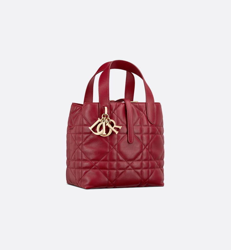 Small Dior Toujours Vertical Tote Bag 1
