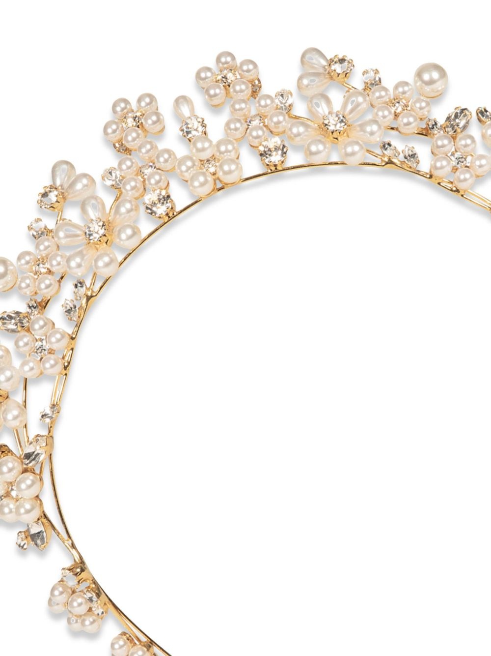 Laena tiara - 2