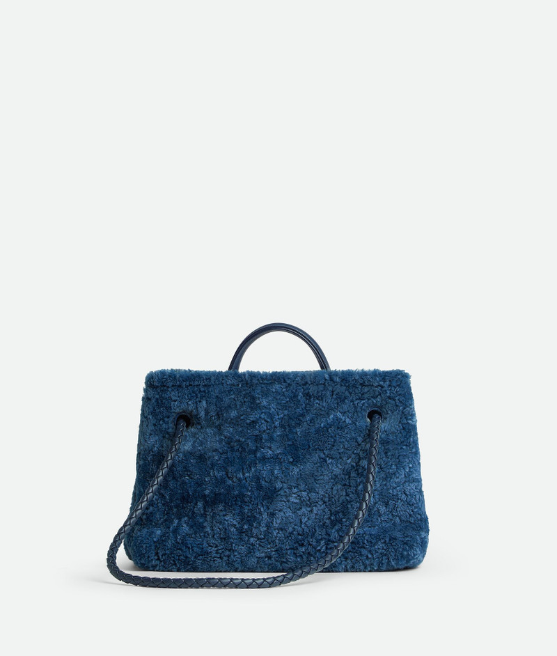 Bottega Veneta Small Andiamo outlook