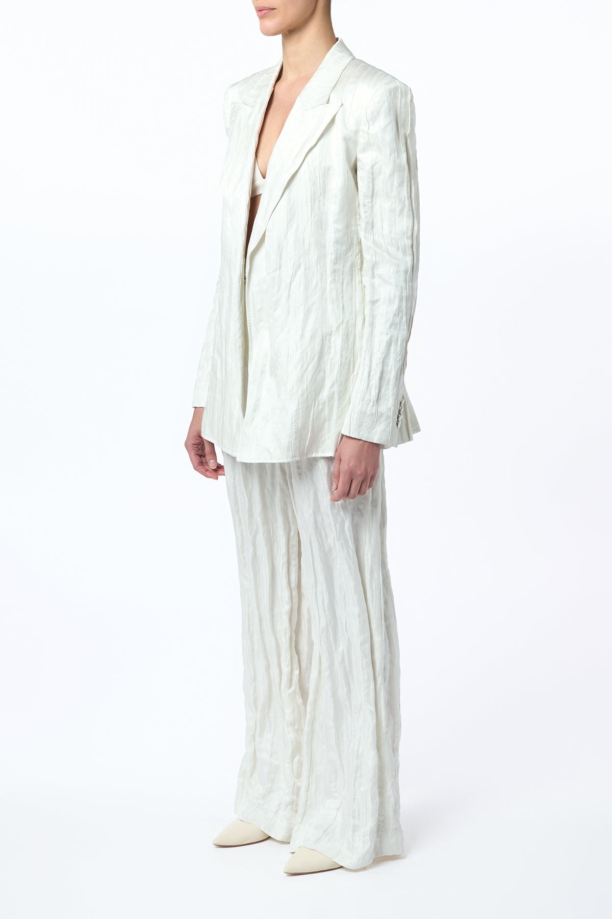 Norman Wide-Leg Pant in Ivory Metallic Crinkled Silk - 3