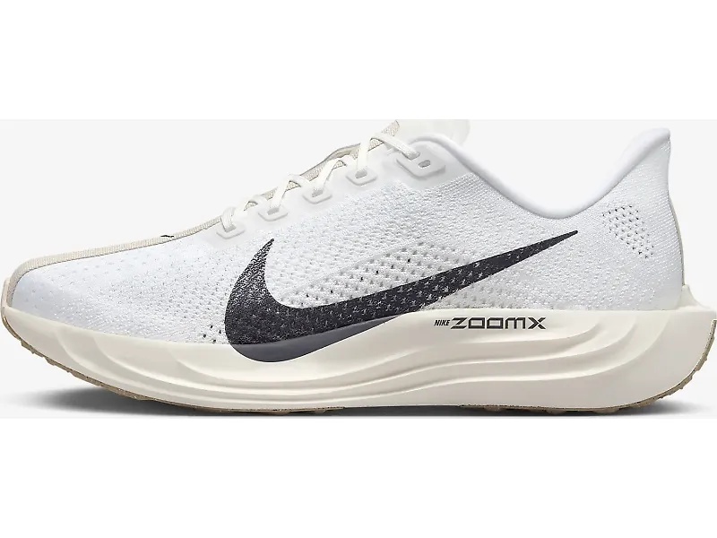 Nike Pegasus Plus - 2