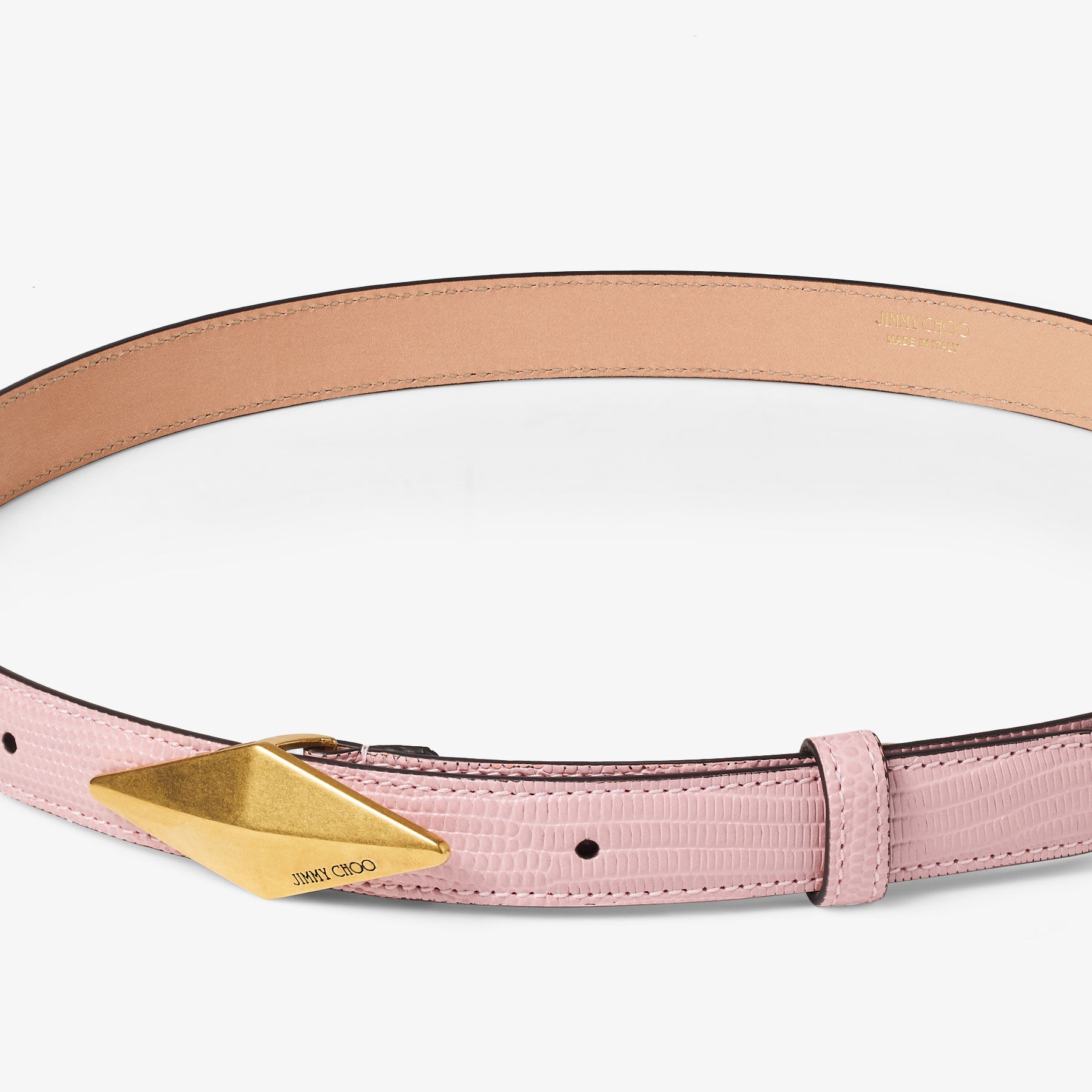 Diamond Clasp Belt
Rose Lizard Print Belt - 3