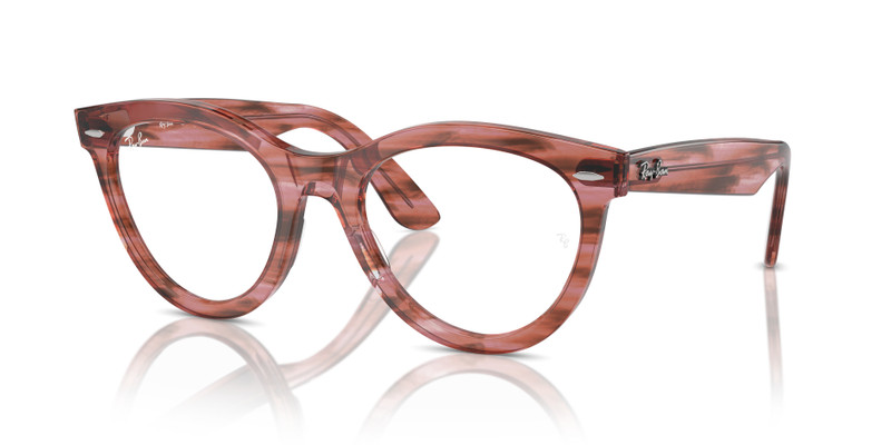 WAYFARER 경로 OPTICS 1