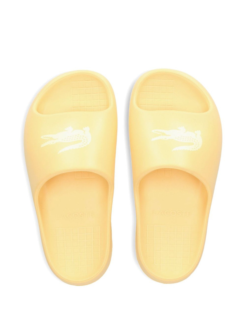 Serve logo-strap slides 4