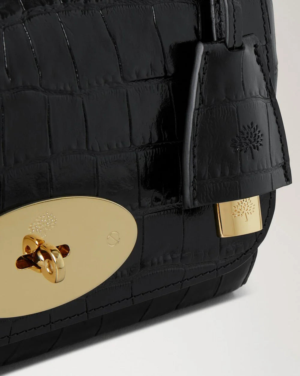 Lily Black Shiny Small Croc - 5