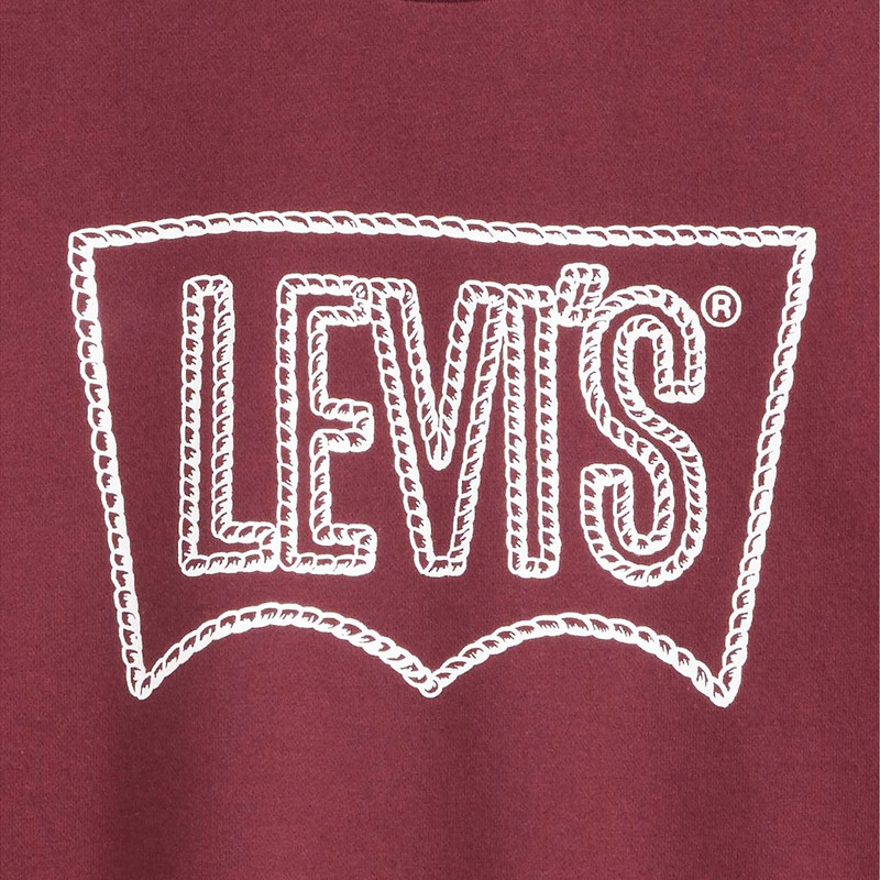 STANDARD FIT GRAPHIC CREWNECK SWEATSHIRT 4