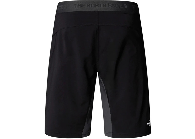 The North Face The North Face Felik Slim Tapered Short Asphalt Grey/TNF Black outlook