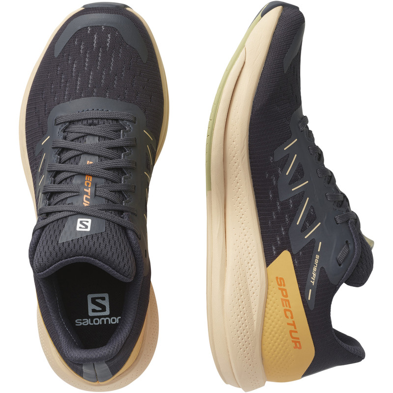 SALOMON SPECTUR outlook