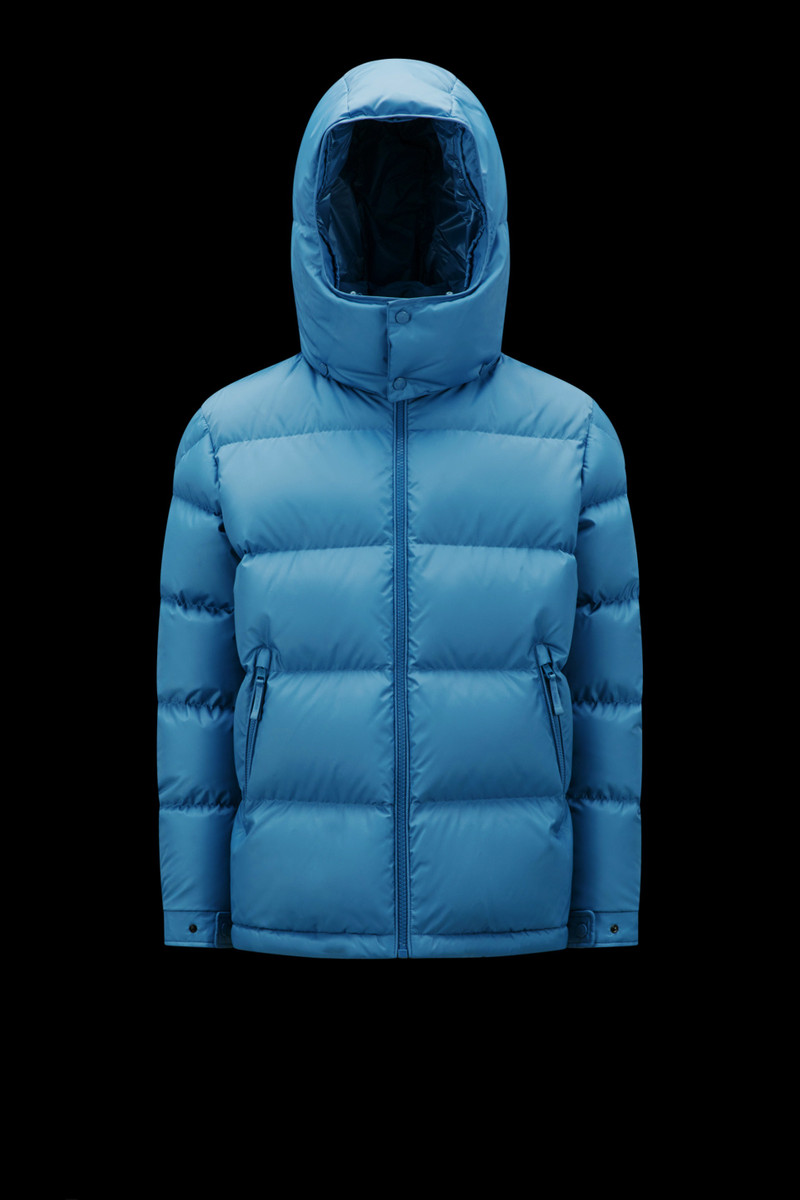 Acanthus Short Down Jacket - 1