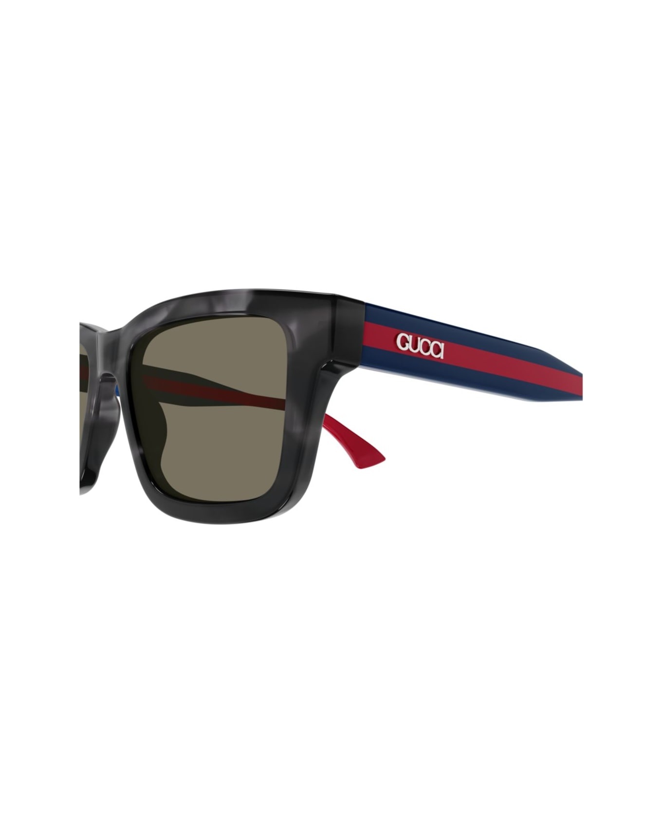 Gg1869s-004havana-blue-brown - 3