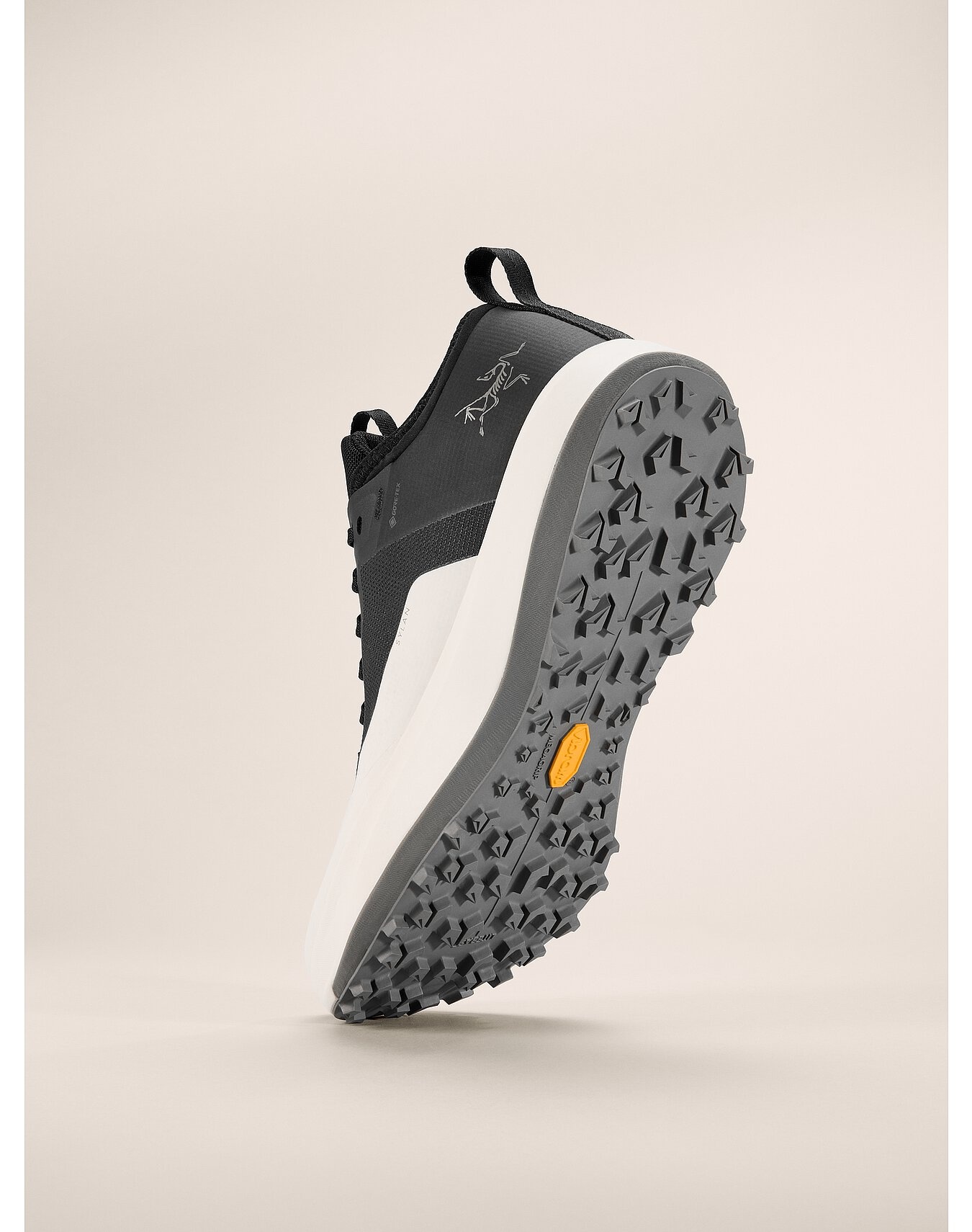 Sylan GTX Shoe - 4