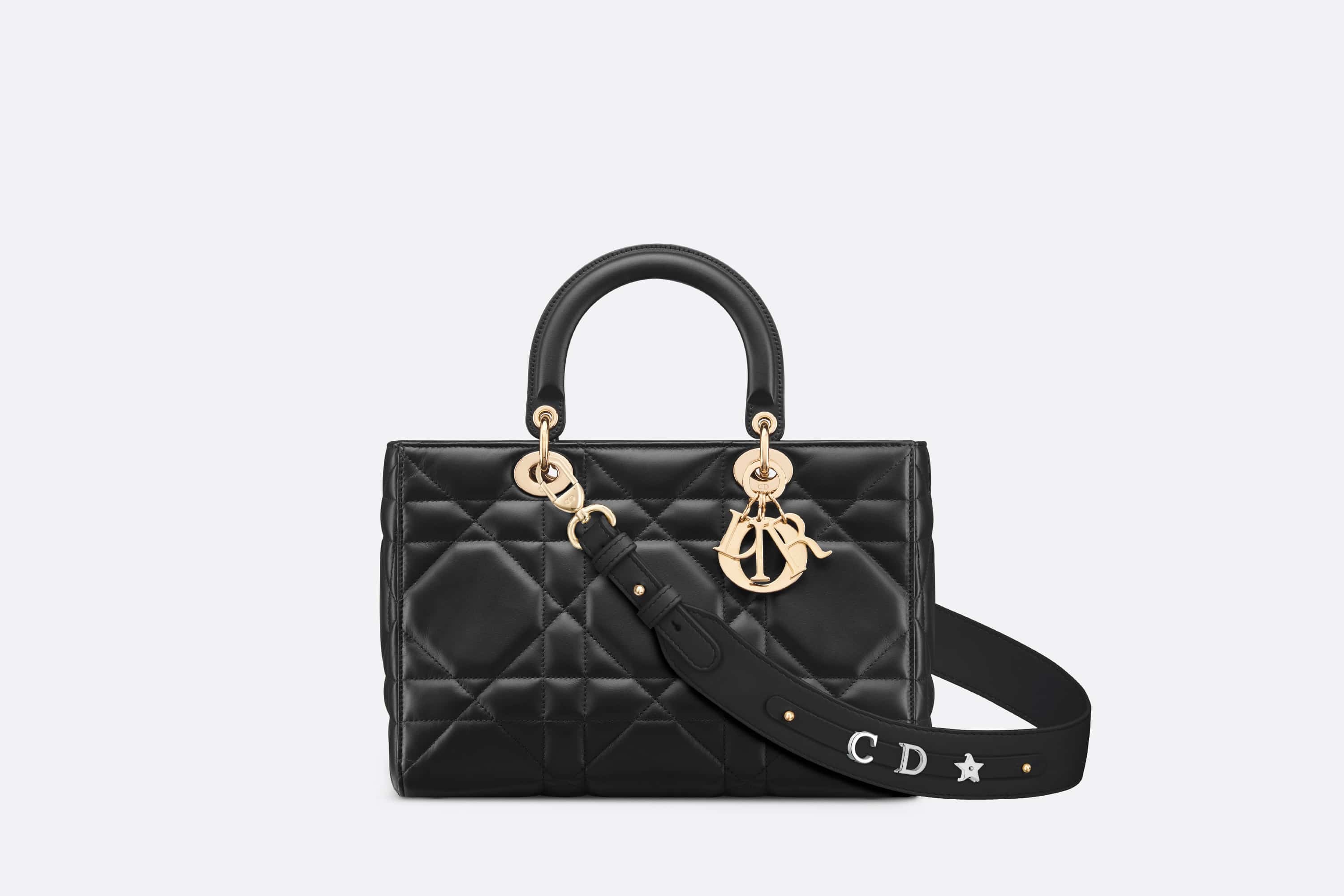 Medium Lady D-Sire My ABCDior Bag - 1