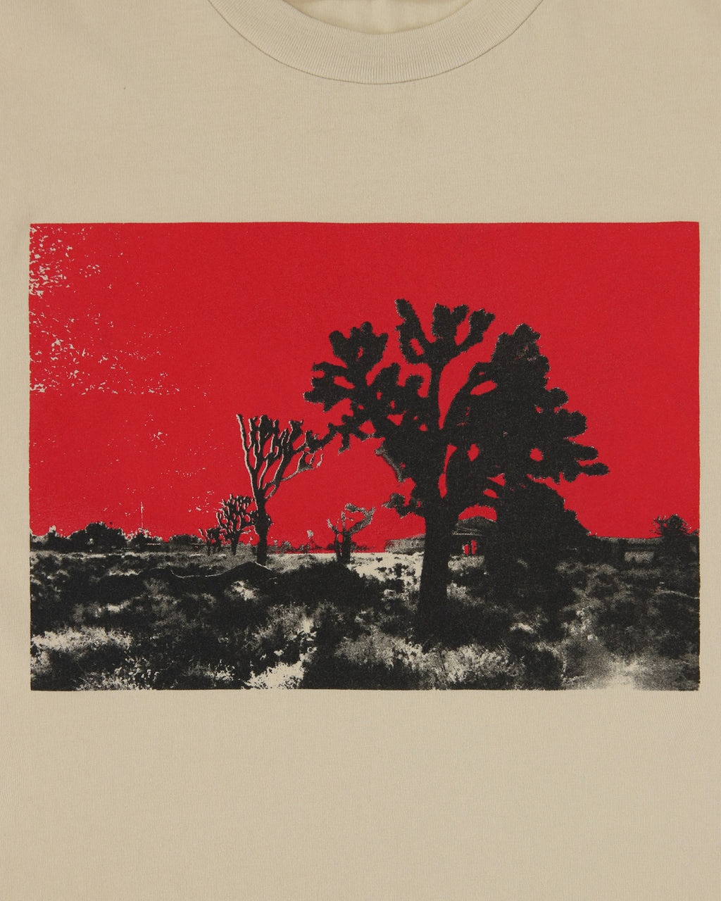 S/S TEE JOSHUA TREE - 3