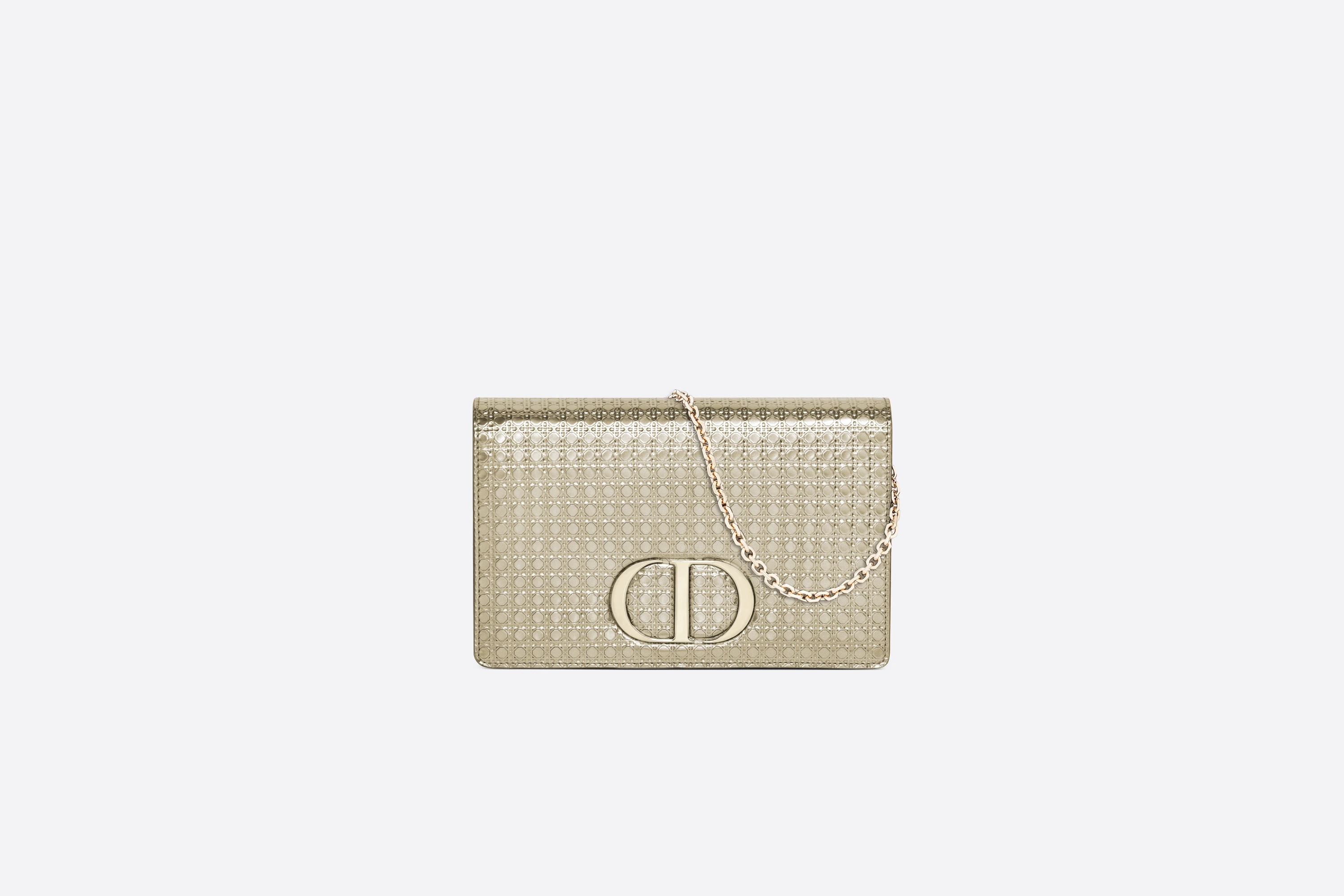 2-in-1 30 Montaigne Pouch - 6