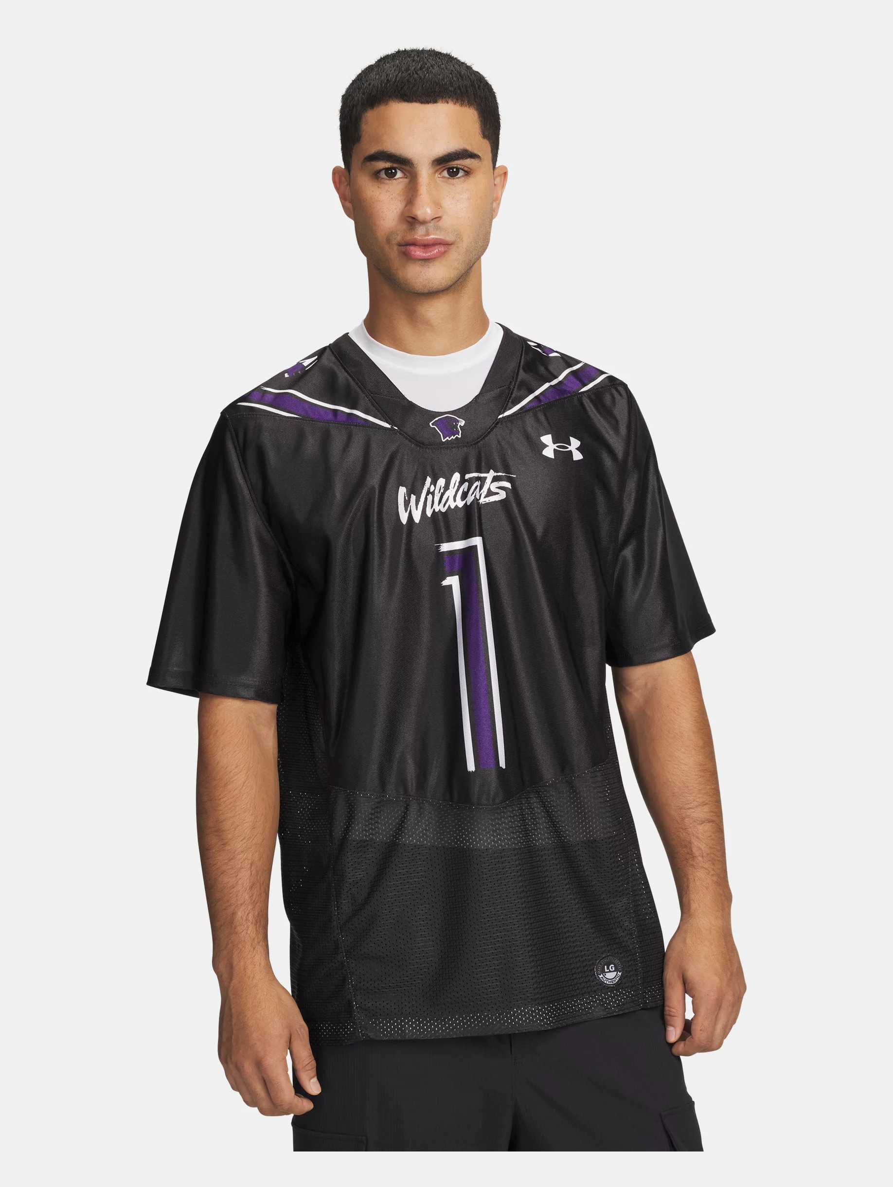 UA Northwestern Collegiate Football Replica - 2