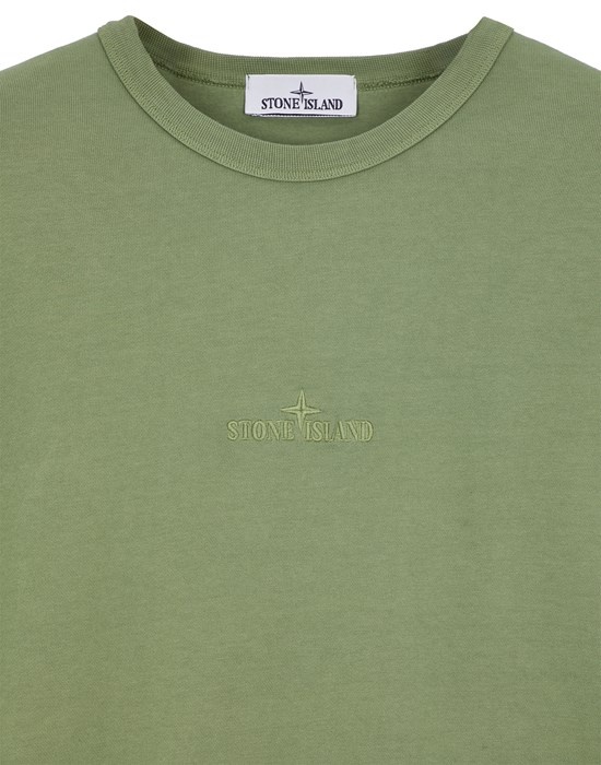 62951 SAGE GREEN - 3