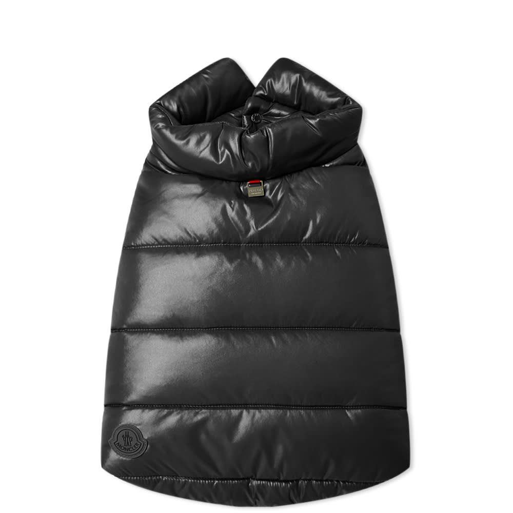 Moncler Genius x Poldo Dog Down Jacket - 2