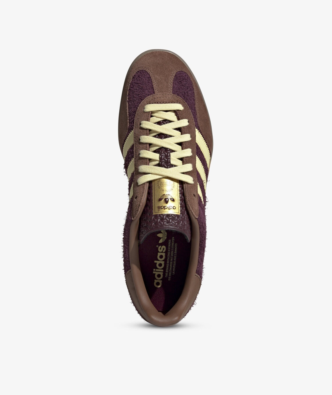 GAZELLE INDOOR - 7