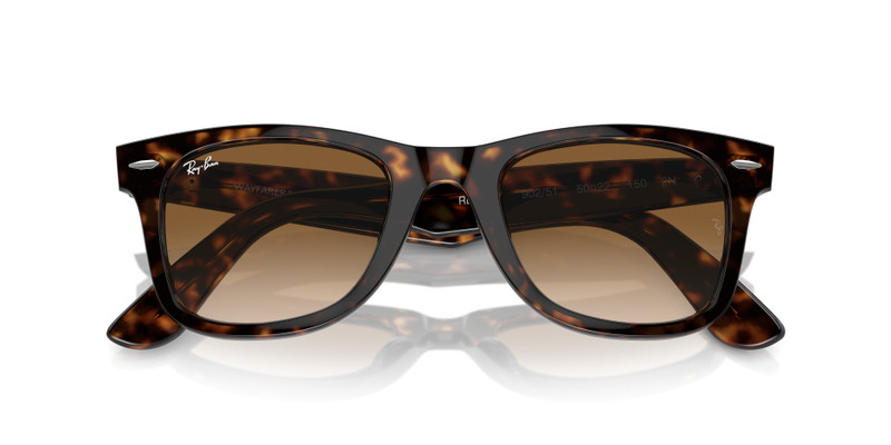 Ray-Ban ORIGINAL WAYFARER CLASSIC outlook