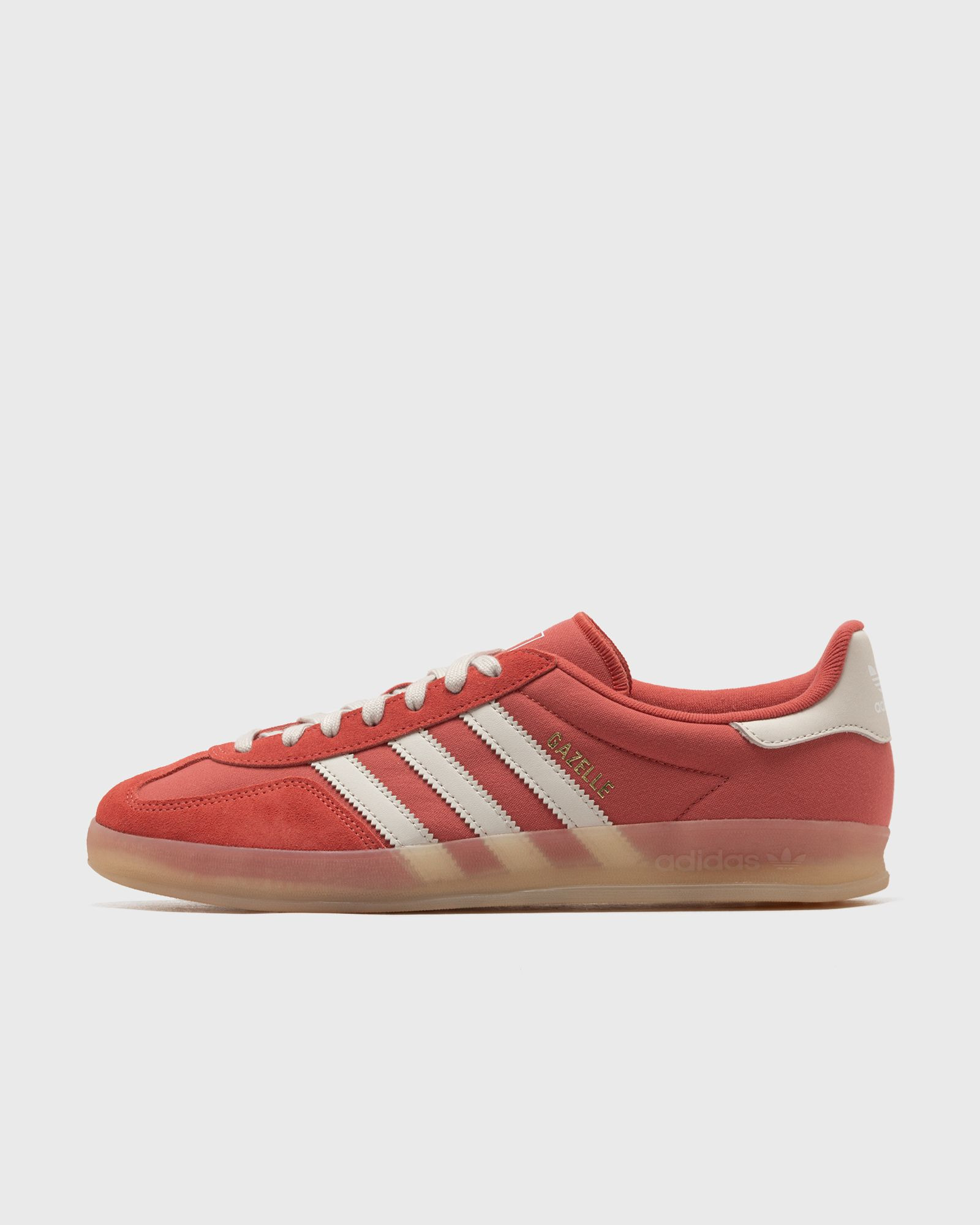 GAZELLE INDOOR - 1