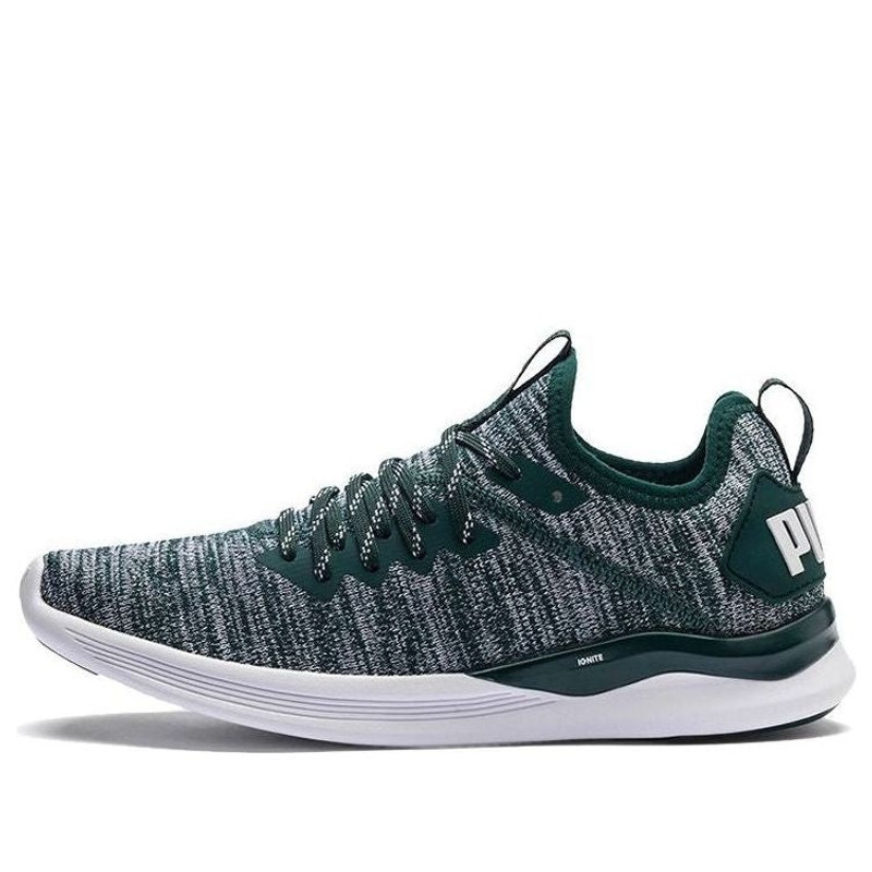 (WMNS) PUMA Ignite Flash Evoknit 'Gray Green White' 190511-16 - 1