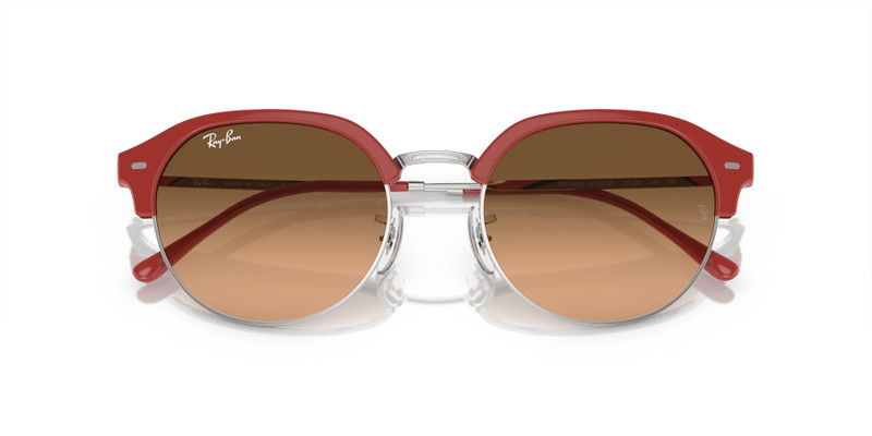Ray-Ban RB4429 outlook