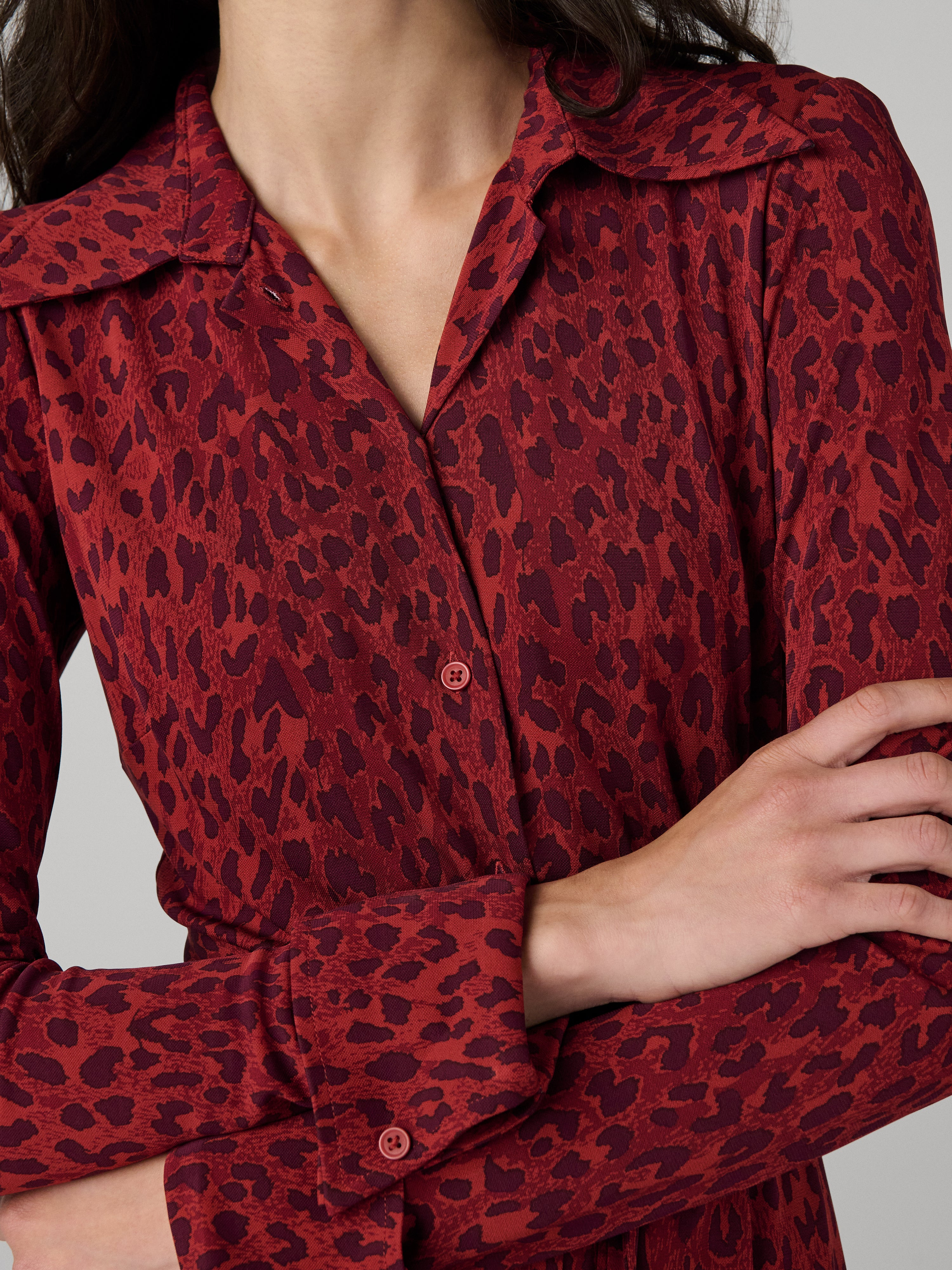 Diane Shirt Dress - 3