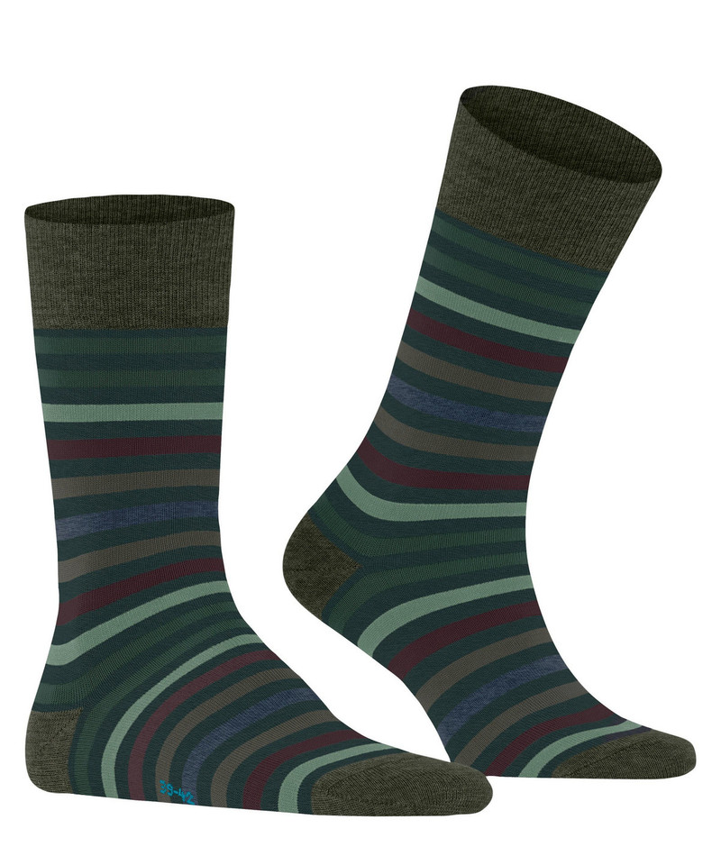 Tinted Stripe Men Socks 3
