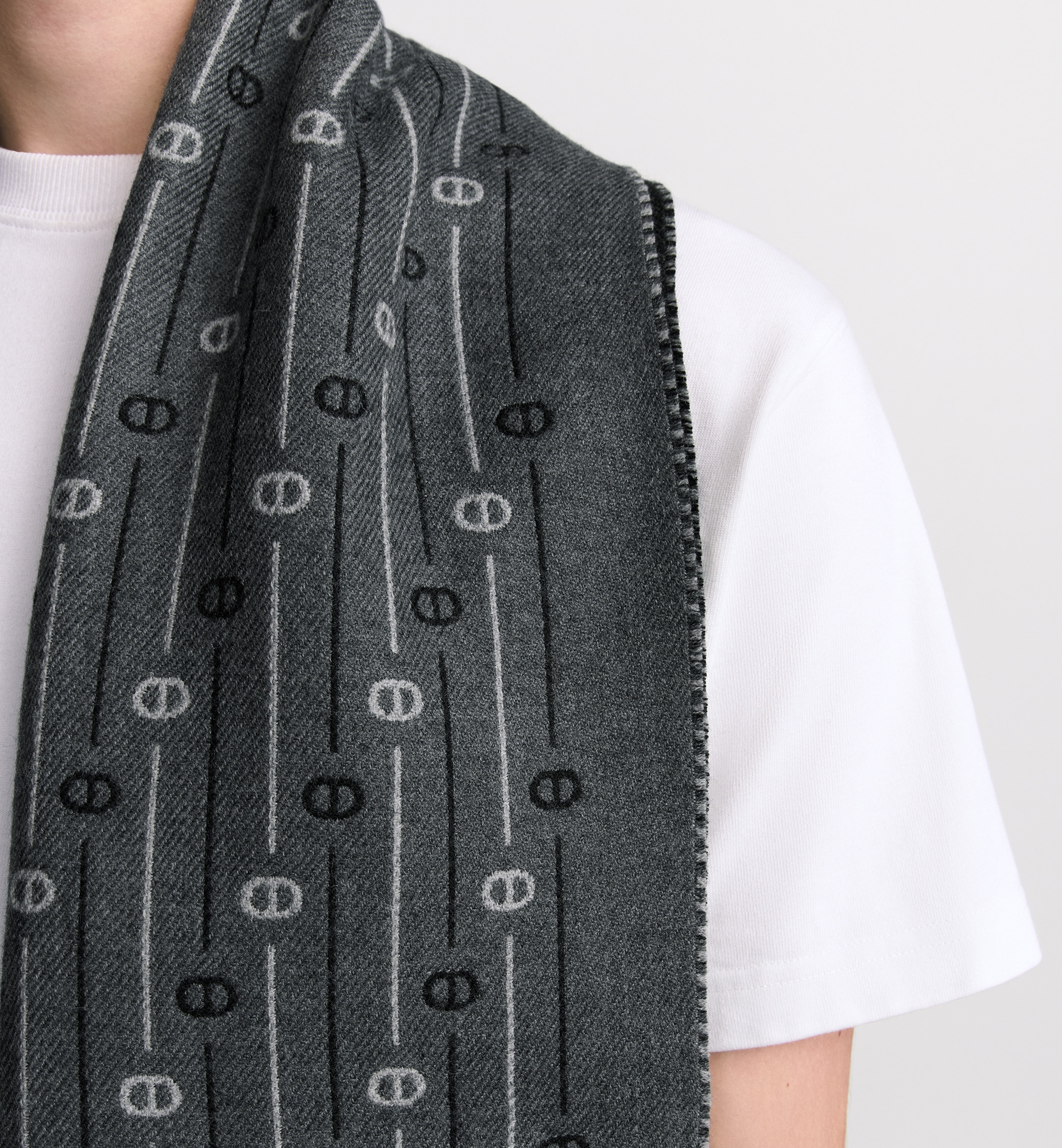 CD Icon Striped Scarf - 3