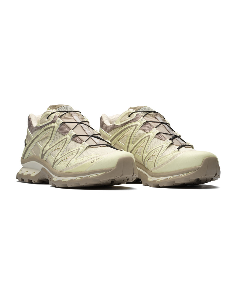 SALOMON XT-QUEST GORE-TEX outlook