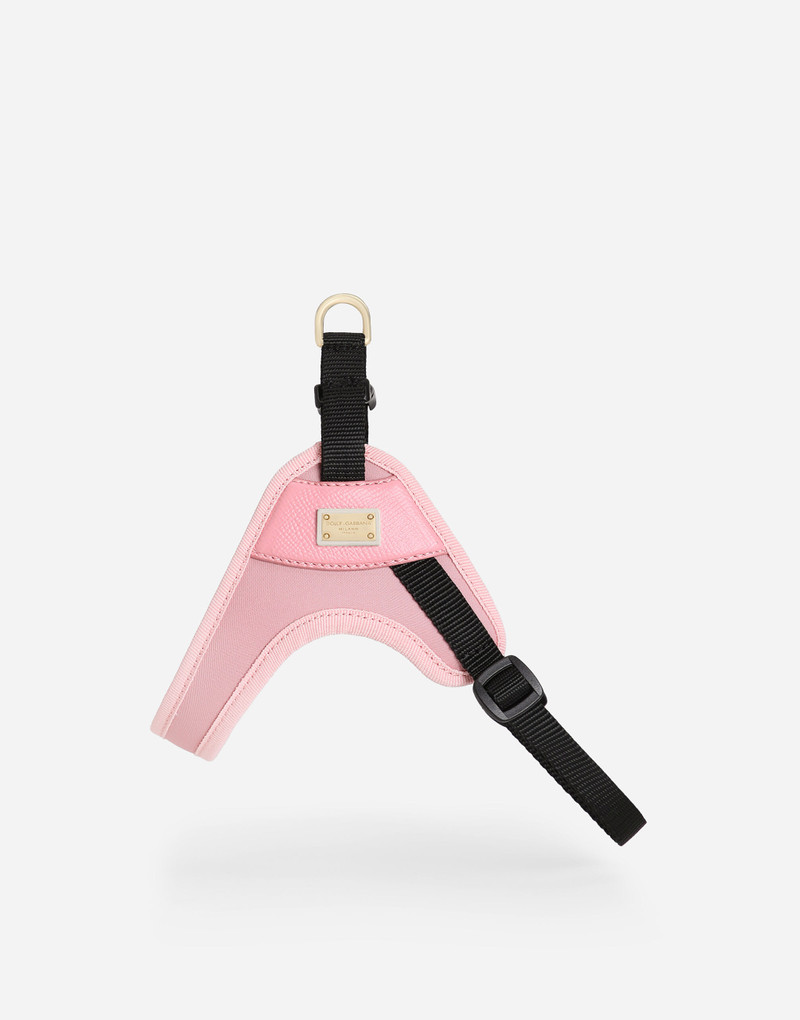 Dolce & Gabbana Dog harness outlook