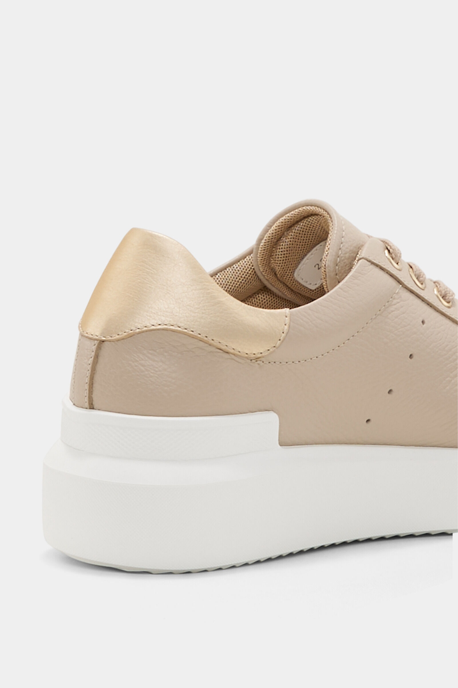 Hollywood Sneaker in Beige/Platinum - 7