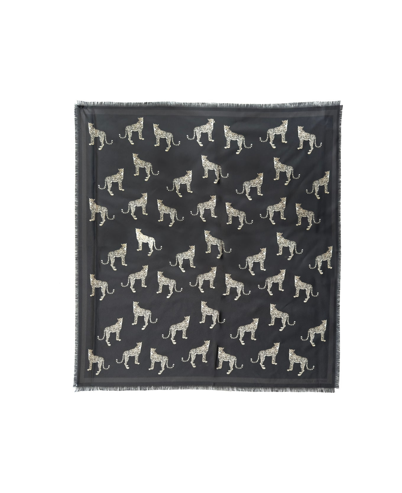 Silk Scarf - 2