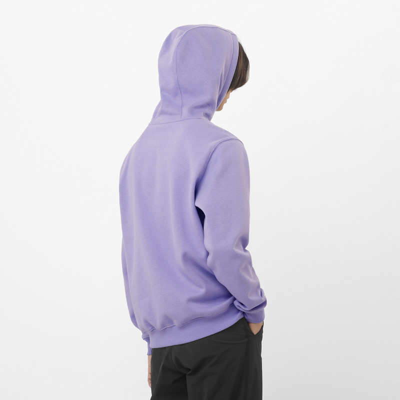 SALOMON CHEST LOGO outlook