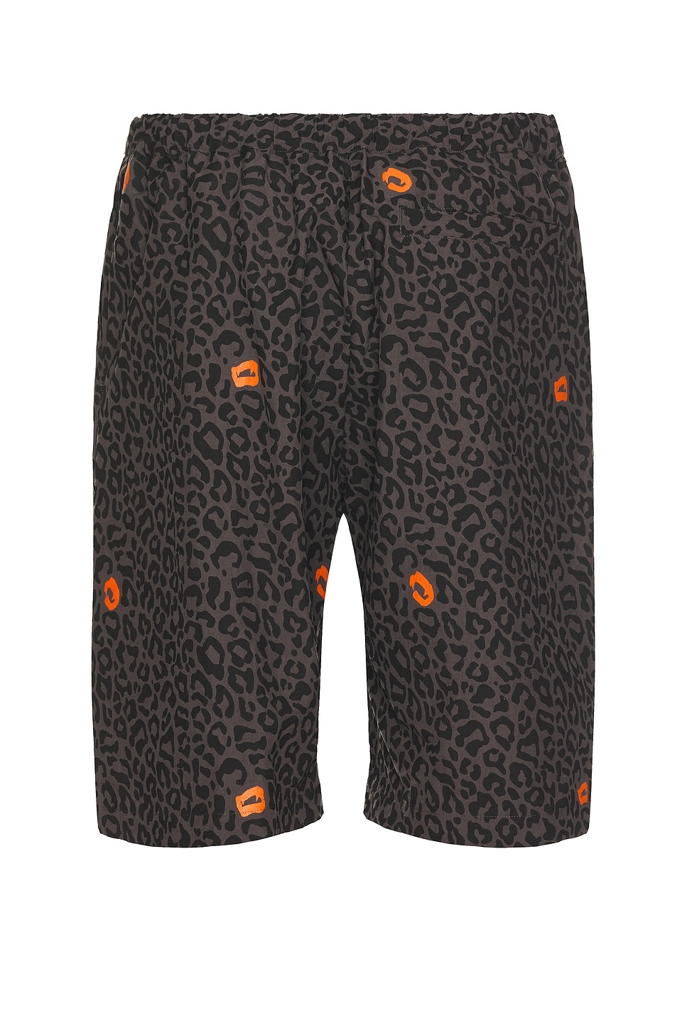 Leopard Print Shorts - 2