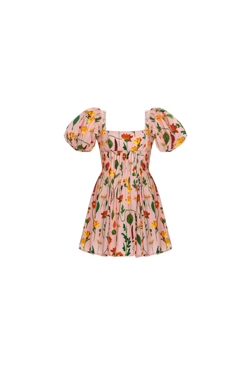 Caramelo Primavera Mini Dress 1