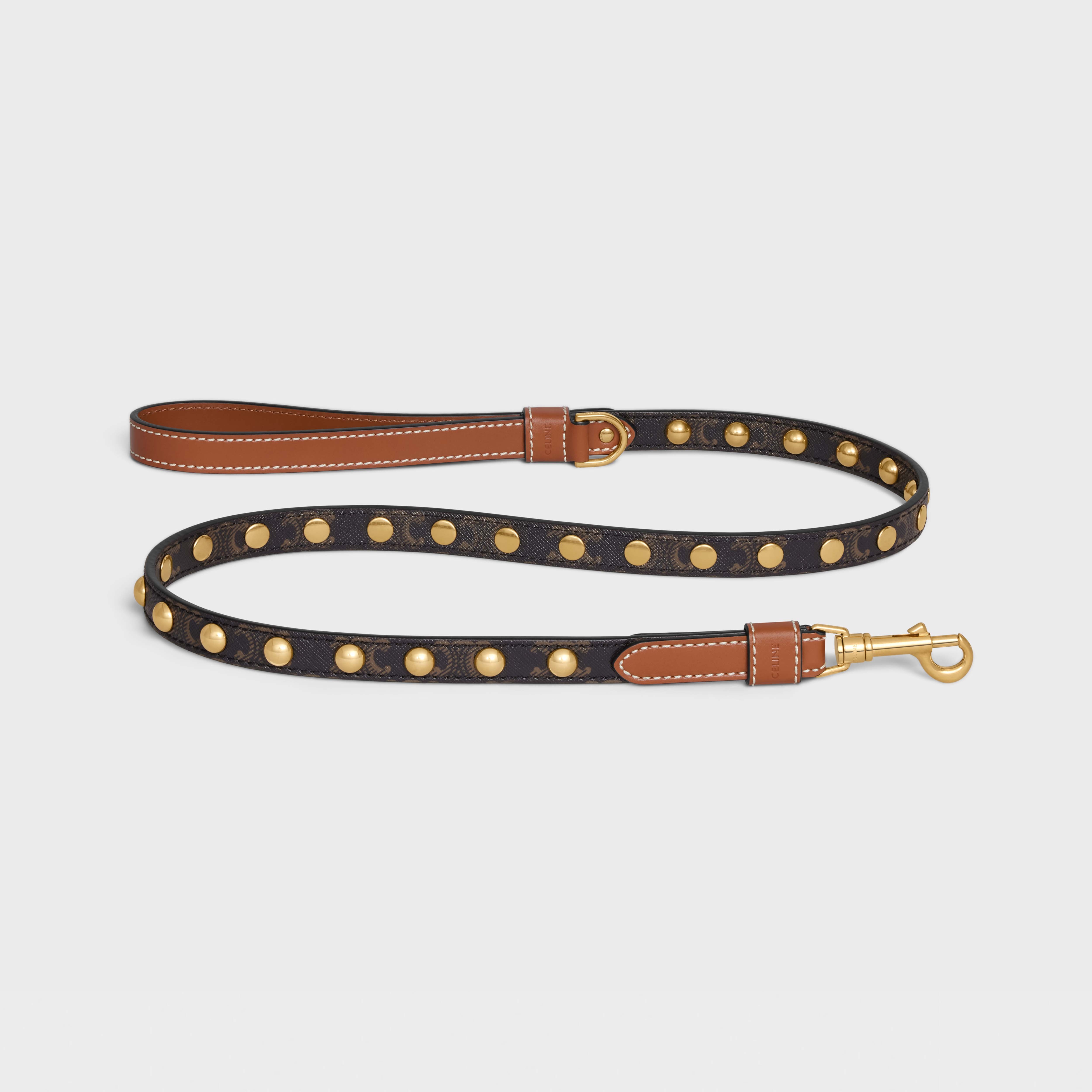 Thin Dog Leash in Triomphe Canvas and Calfskin with studs - 1