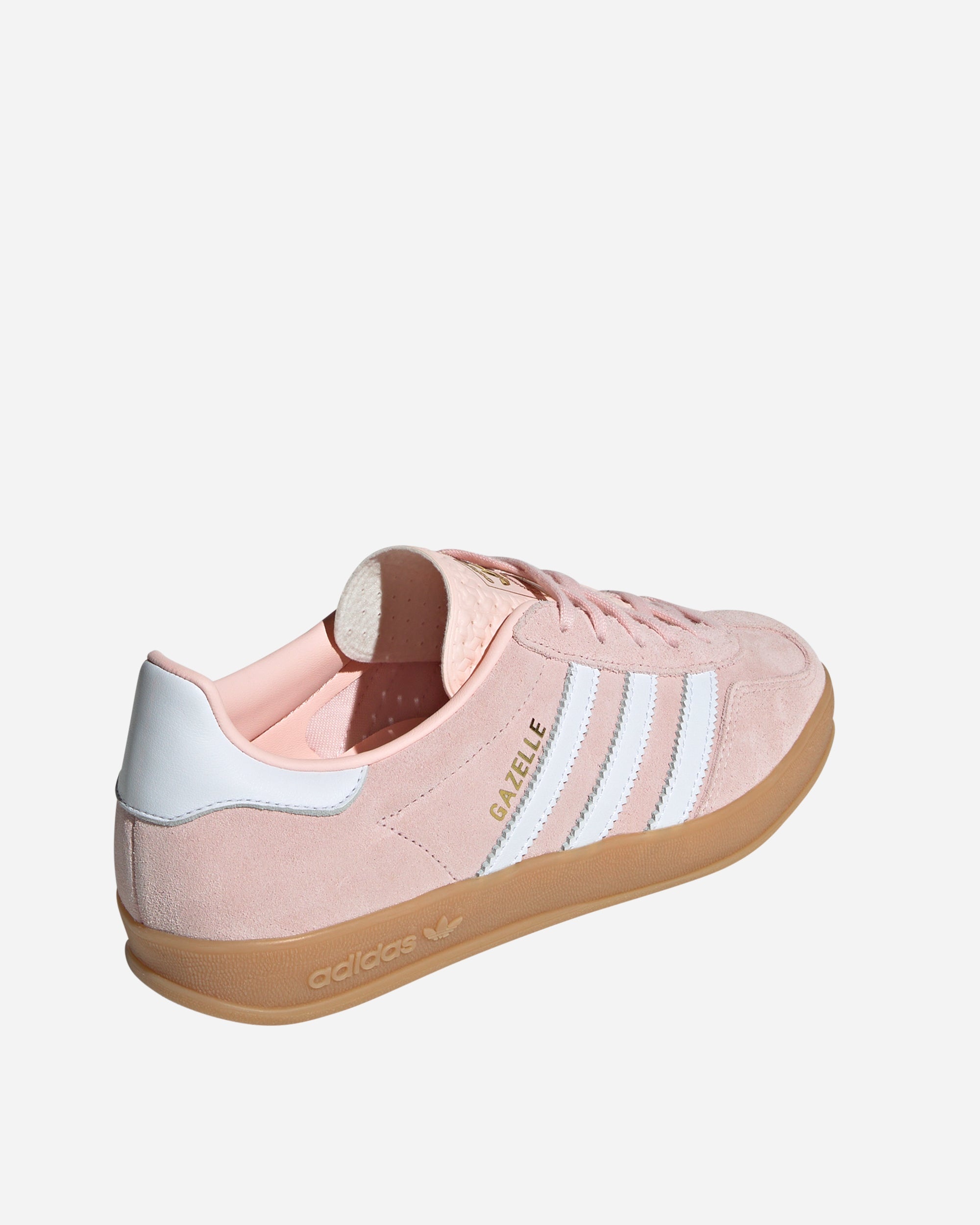 Gazelle Indoor - 4