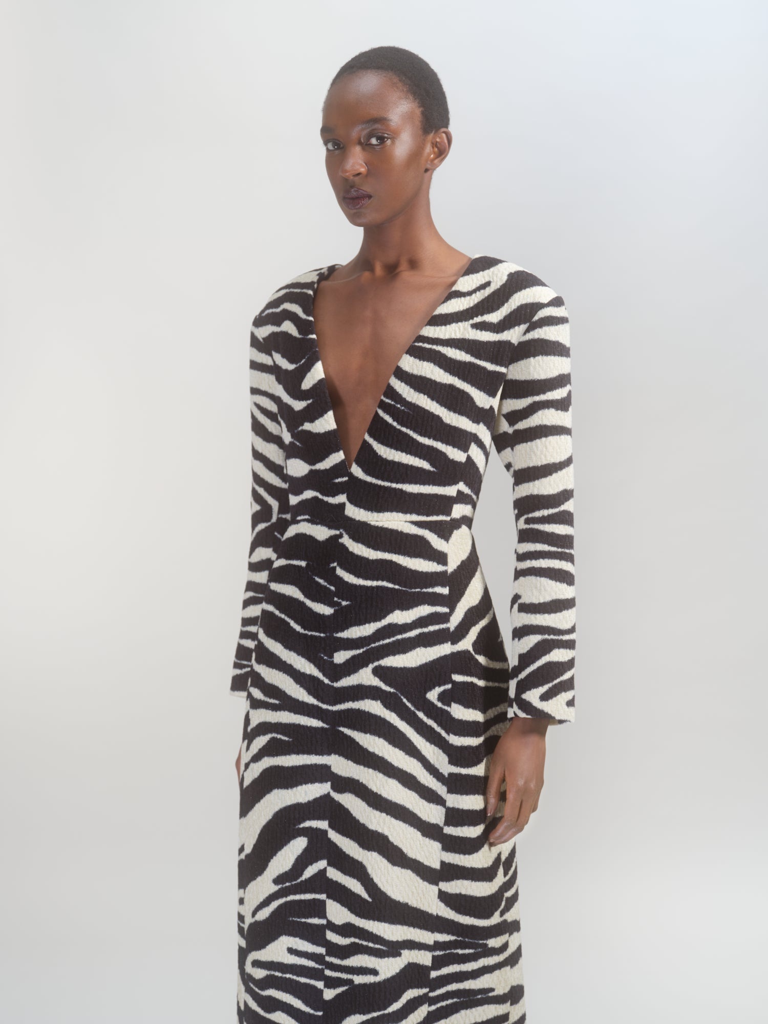 ZEBRA DRESS - 7