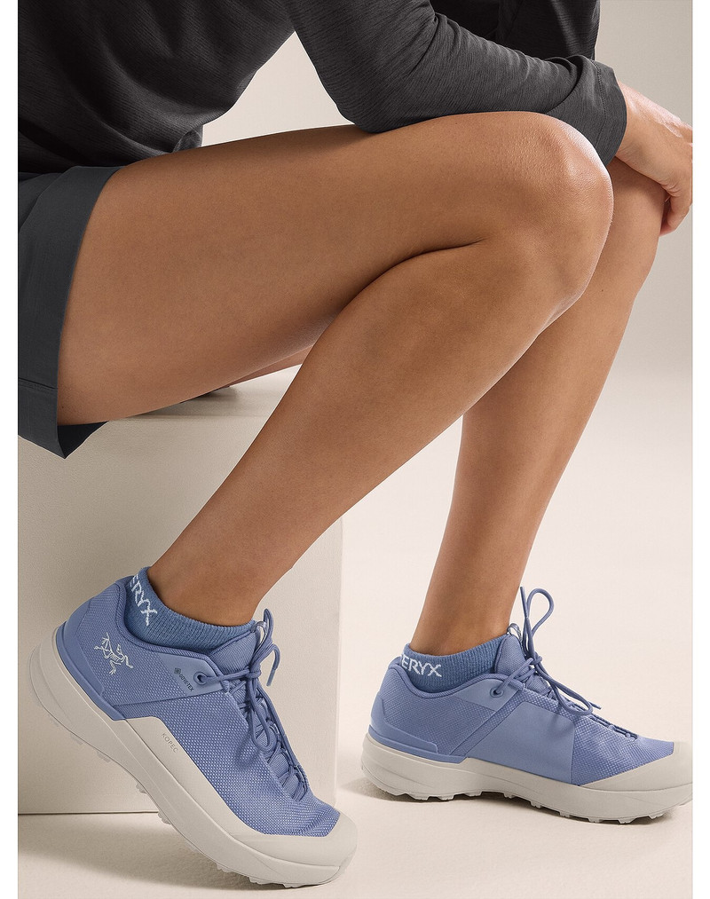 Arc'teryx Merino Wool Low Cut Sock outlook