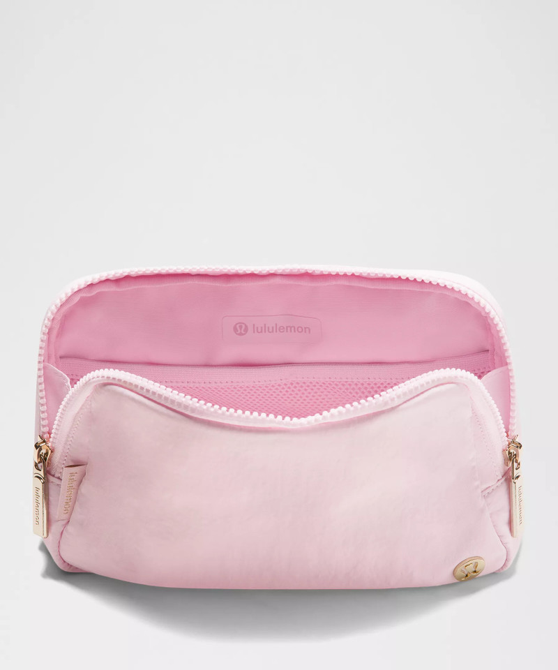 Everywhere Belt Bag Large with Long Strap 2L 5