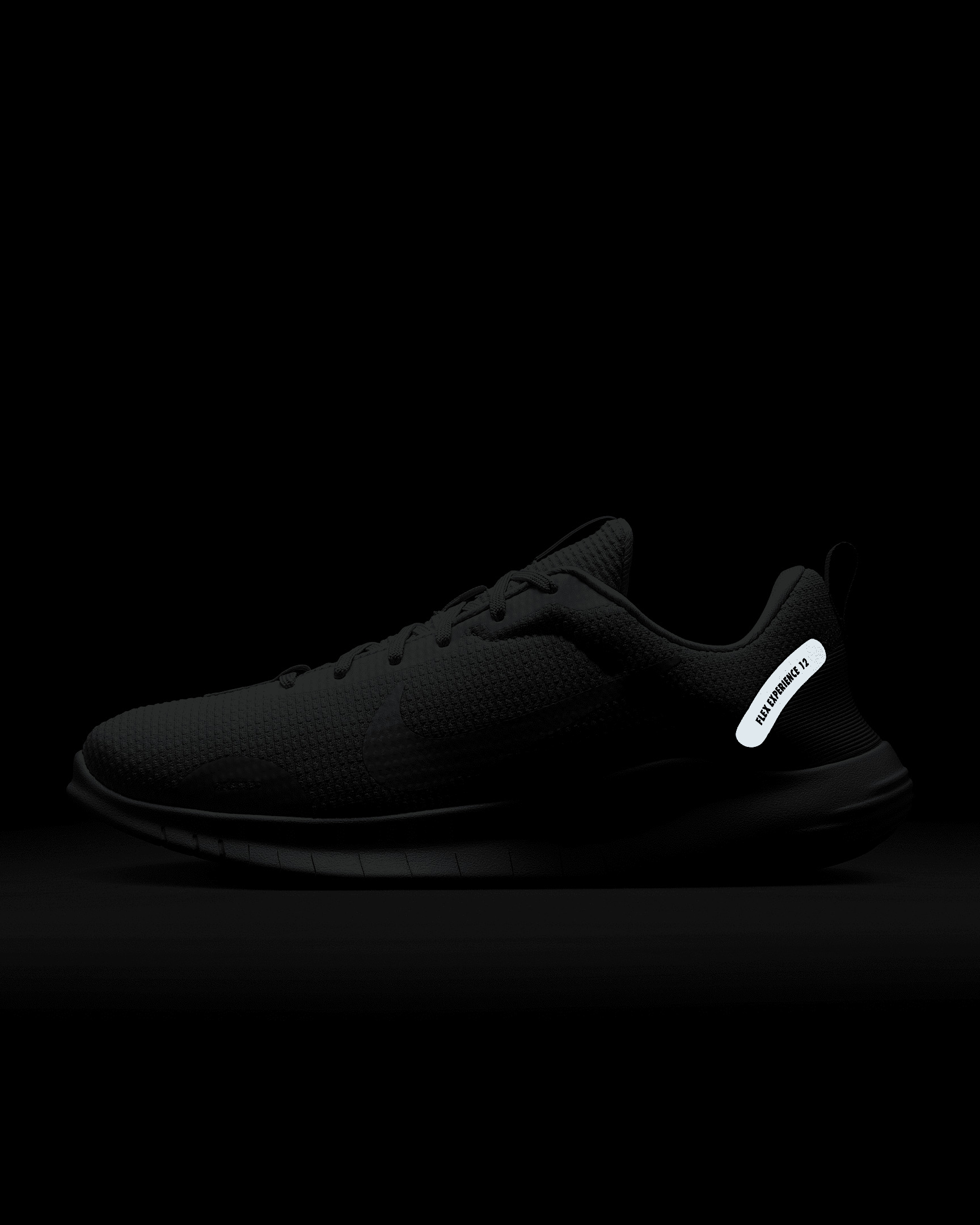 Nike Flex Experience Run 12 Women's Road Running Shoes - 10